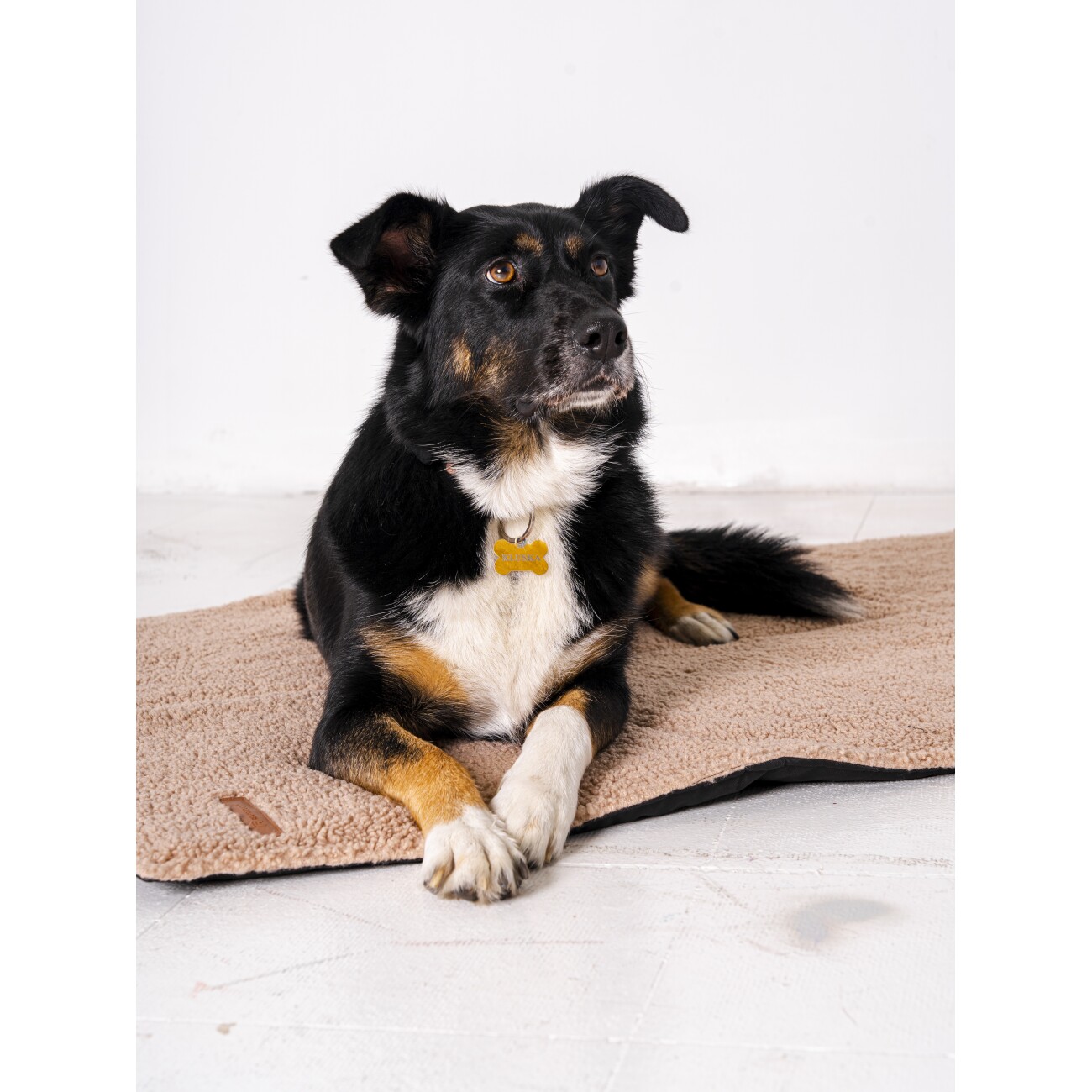 Rexproduct Mia travel mat