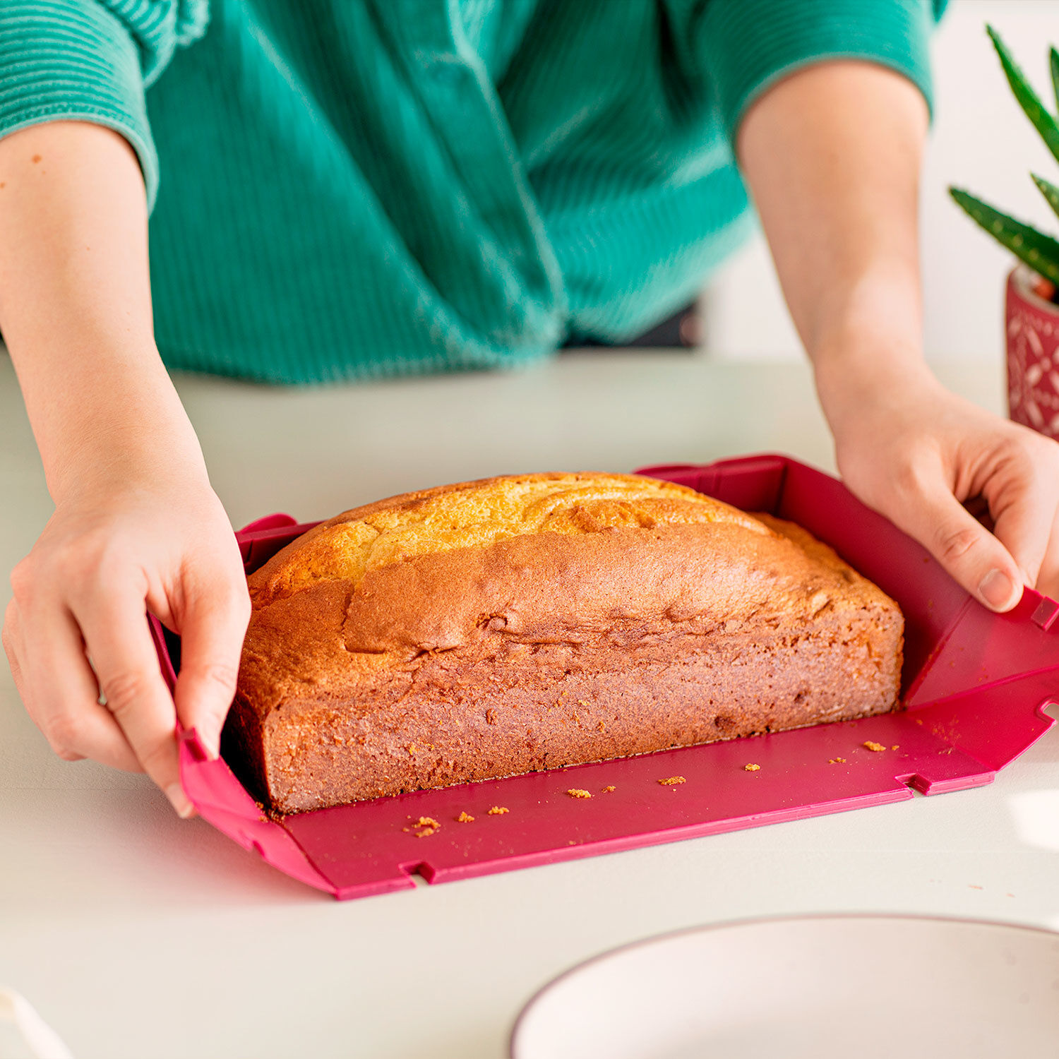 Cake Wunderform Coox