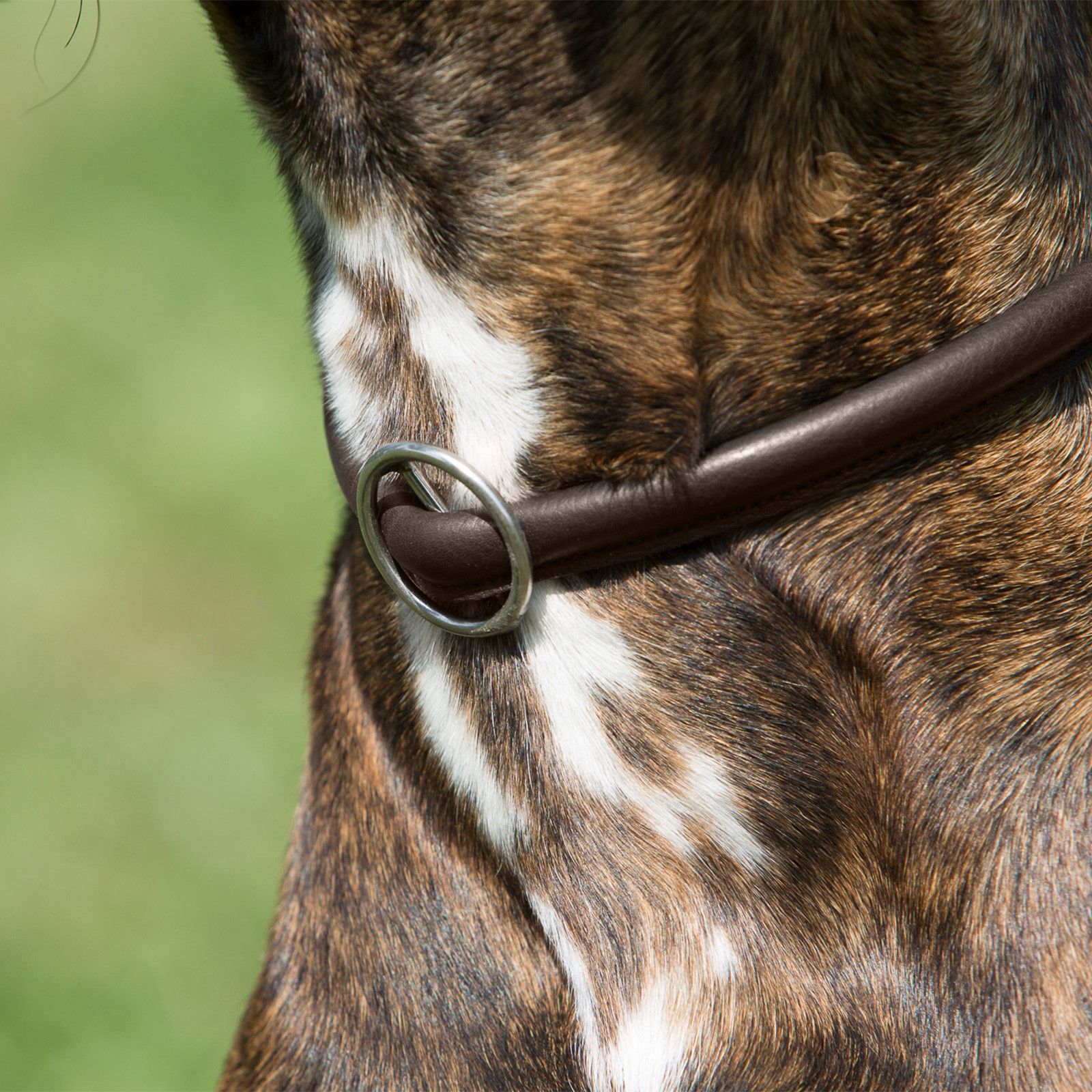 Kieffer Hundehalsband Ultrasoft