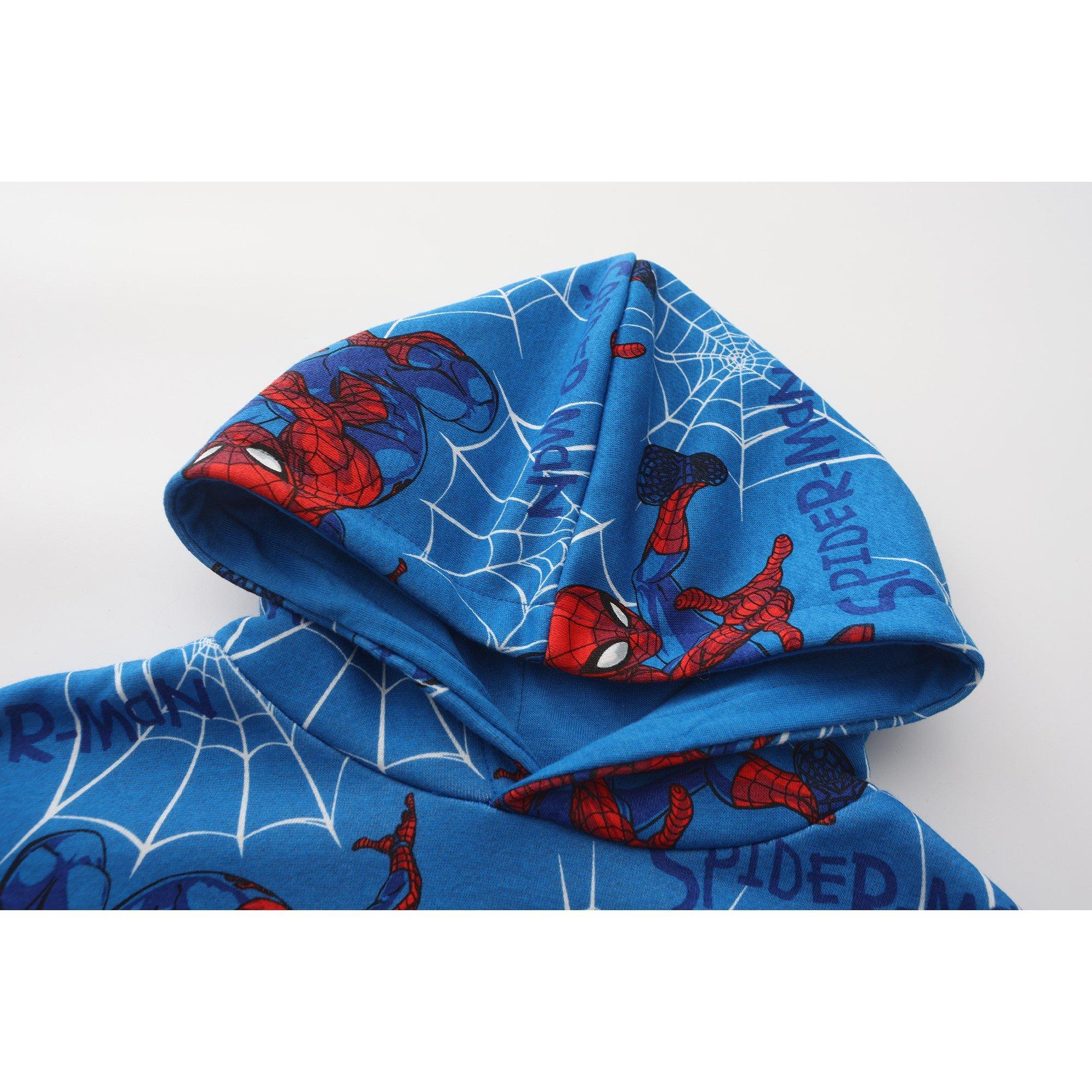 Character Fleece Lined Hoodie for Boys
