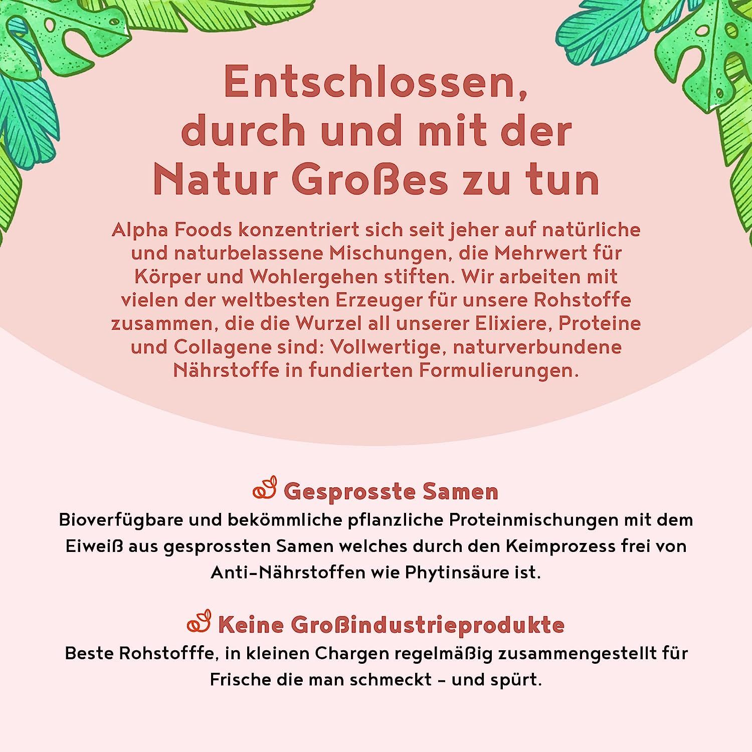 Vegan Protein - ERDBEERE - Pflanzliches Proteinpulver