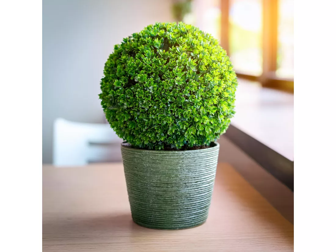 WELL HOME - Boule décorative en buis Ø36cm idéale comme décoration