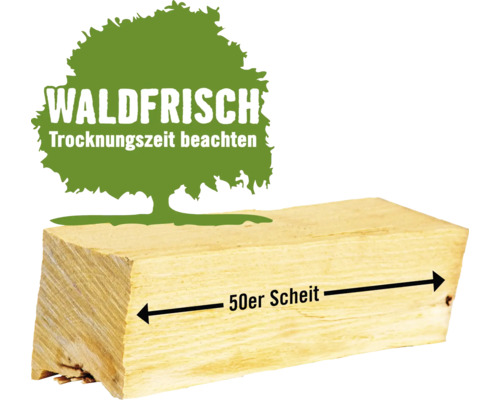 Brandhout, losse gemengde hardhoutsoorten, 1 kubieke meter, ca. 48-50 cm, vers uit het bos gekapt