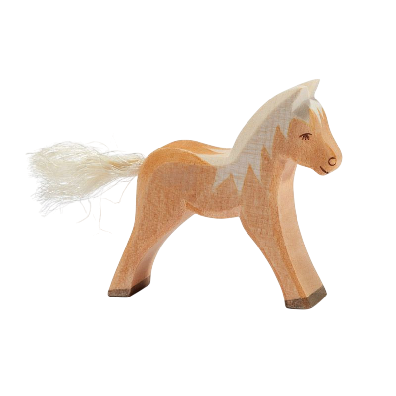 Ostheimer Haflinger Fohlen