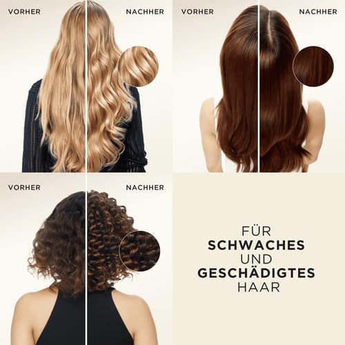Pantene Pro-V Repair & Care Shampoo für Schwaches, Trockenes, Geschädigtes Haar