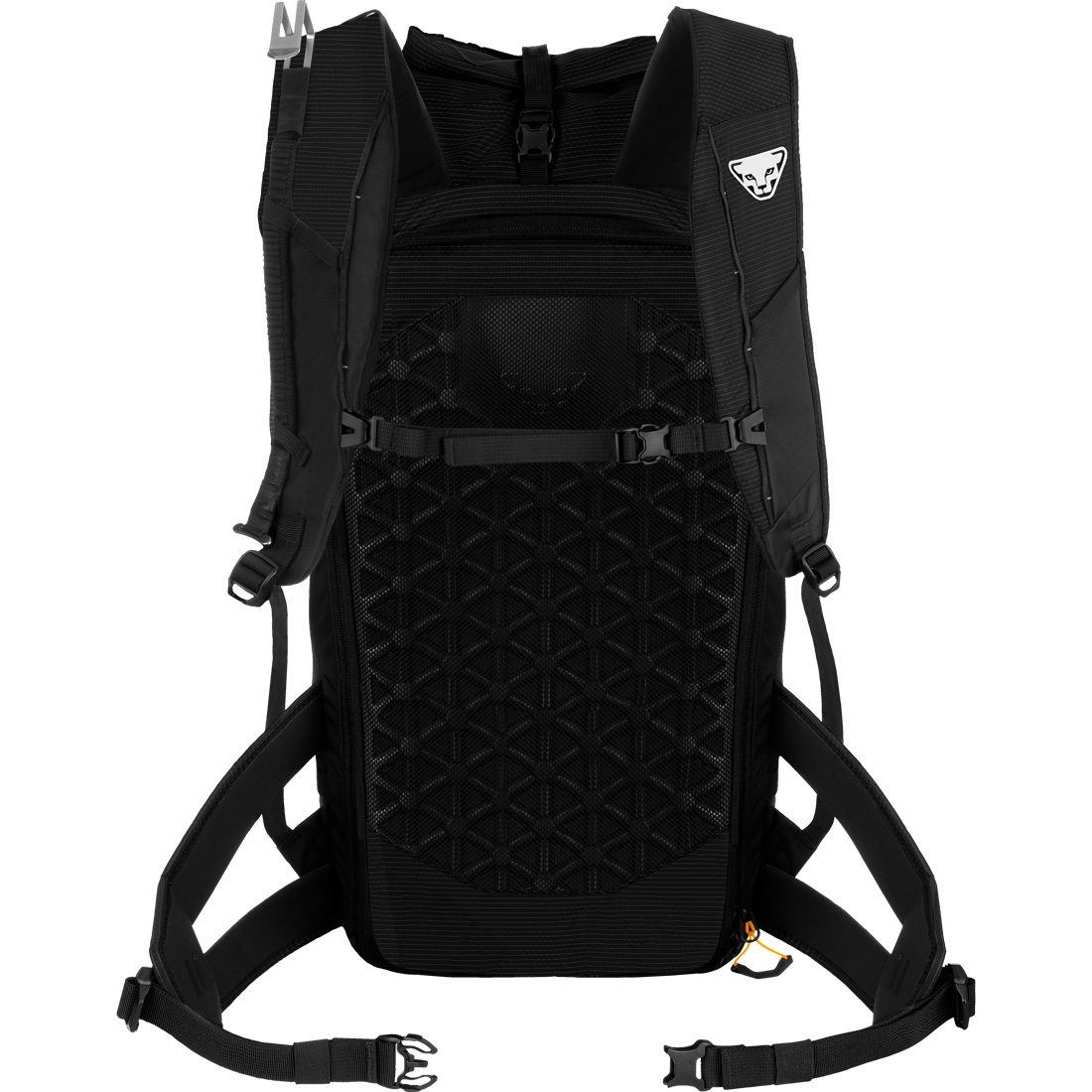 Dynafit Radical 30+ Skitourenrucksack black out