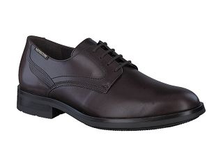 smith  Veau carnaby 17851  Marron