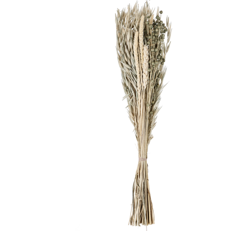 EGLO Trockenblume Caraquet, 45 cm, braun
