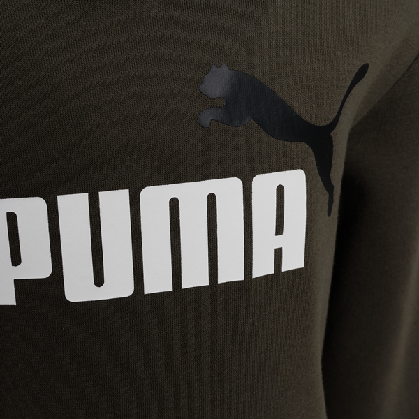 Puma Essentials Big Logo kinder hoodie groen