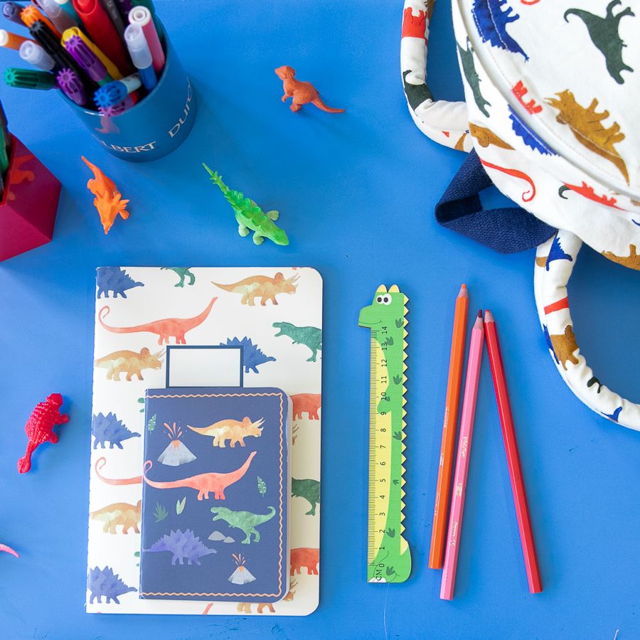 Cahier motifs dinosaures Mercredi et Patati