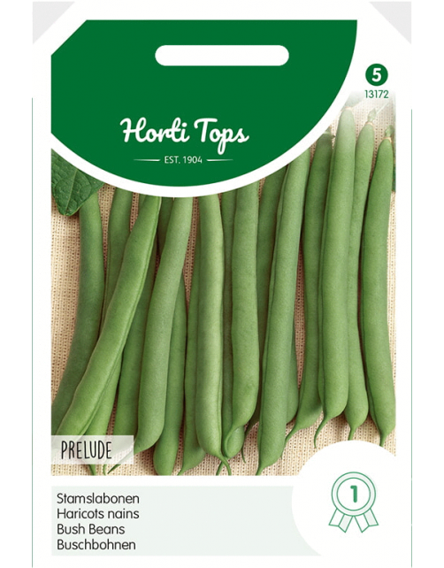 Hortitops Stamslabonen Prelude - Groentezaden - 100 g