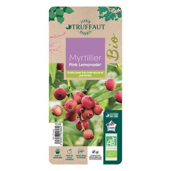 Myrtillier 'Pink Lemonade®' bio : pot de 1,5 litres