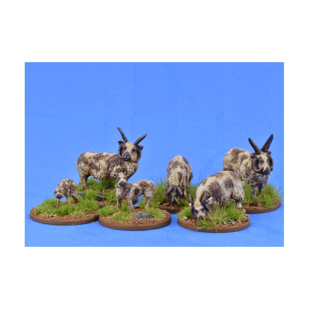 Saga - Civils et bétails - Moutons