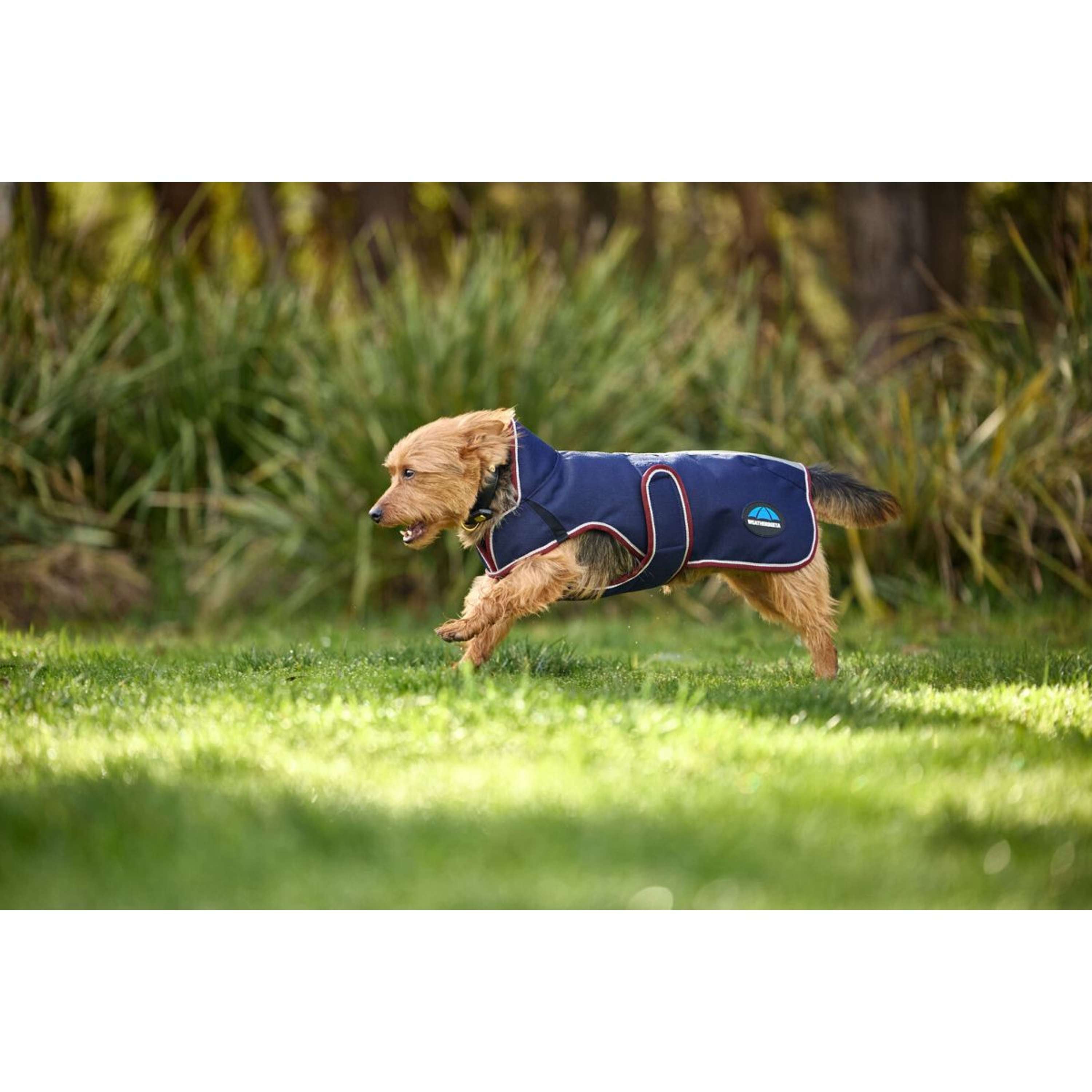 WeatherBeeta Hondendeken ComFiTec Premier Deluxe Waterproof Navy/Burgu