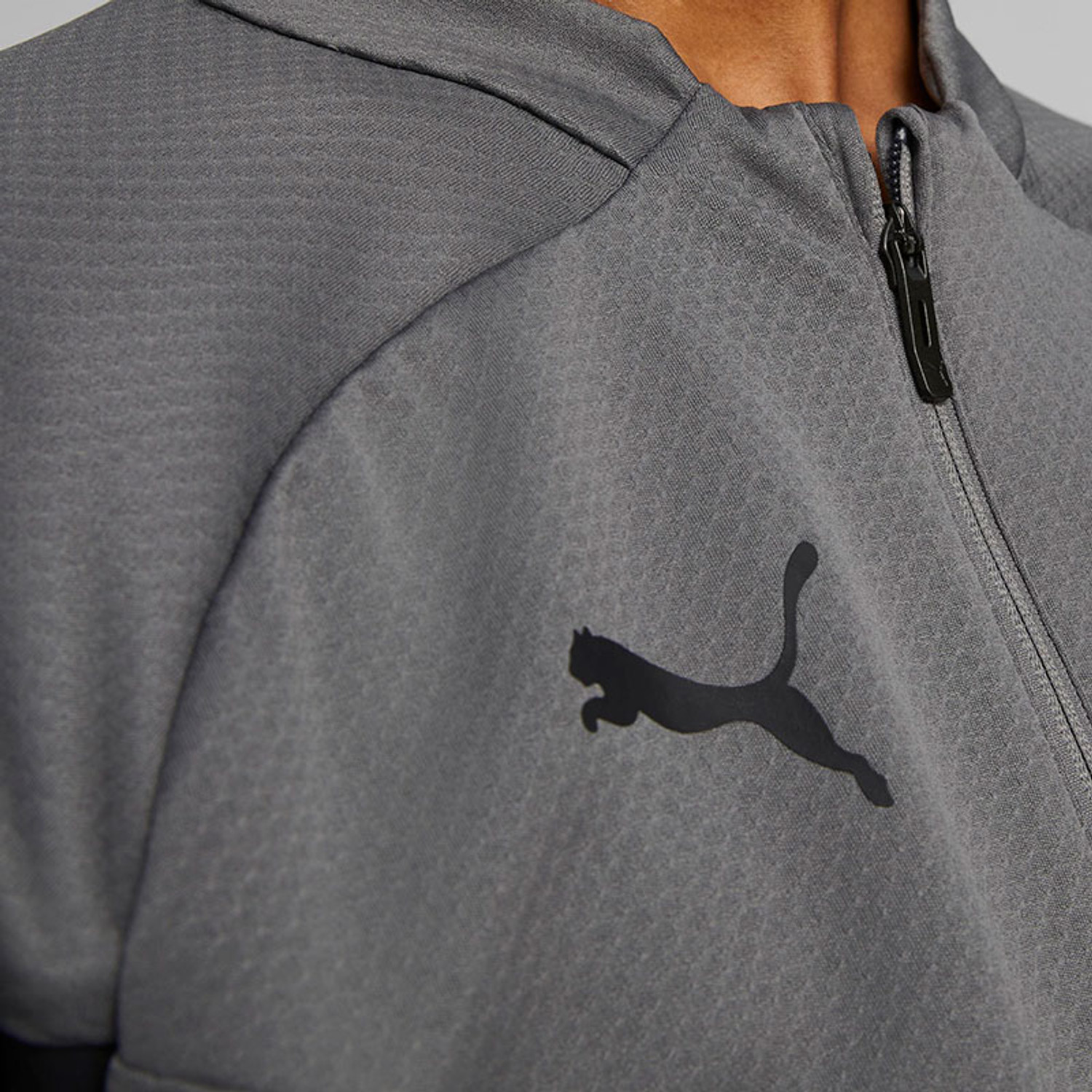 Puma Borussia Dortmund Trainingspak