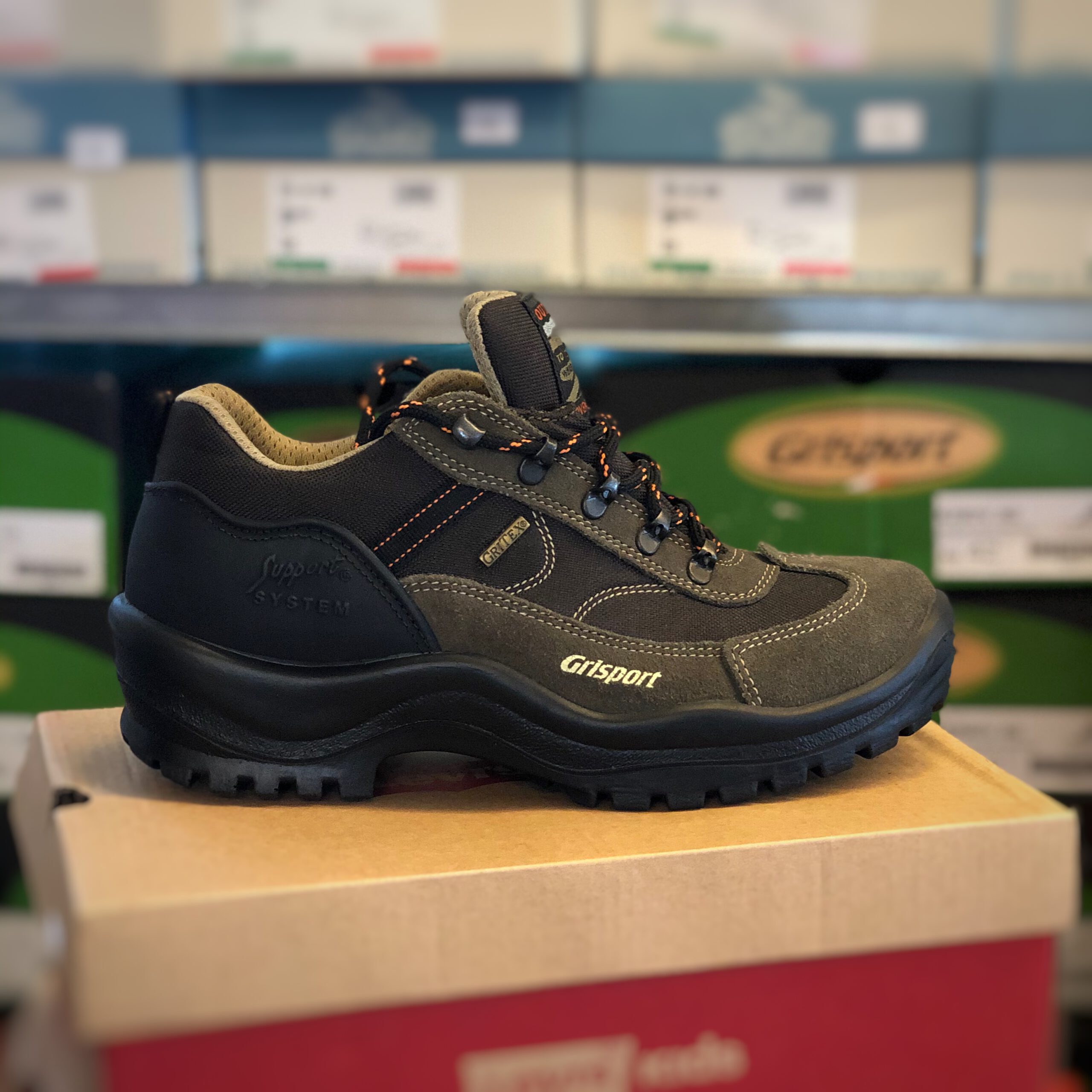Grisport - Marrone Scamoscia tursko brun