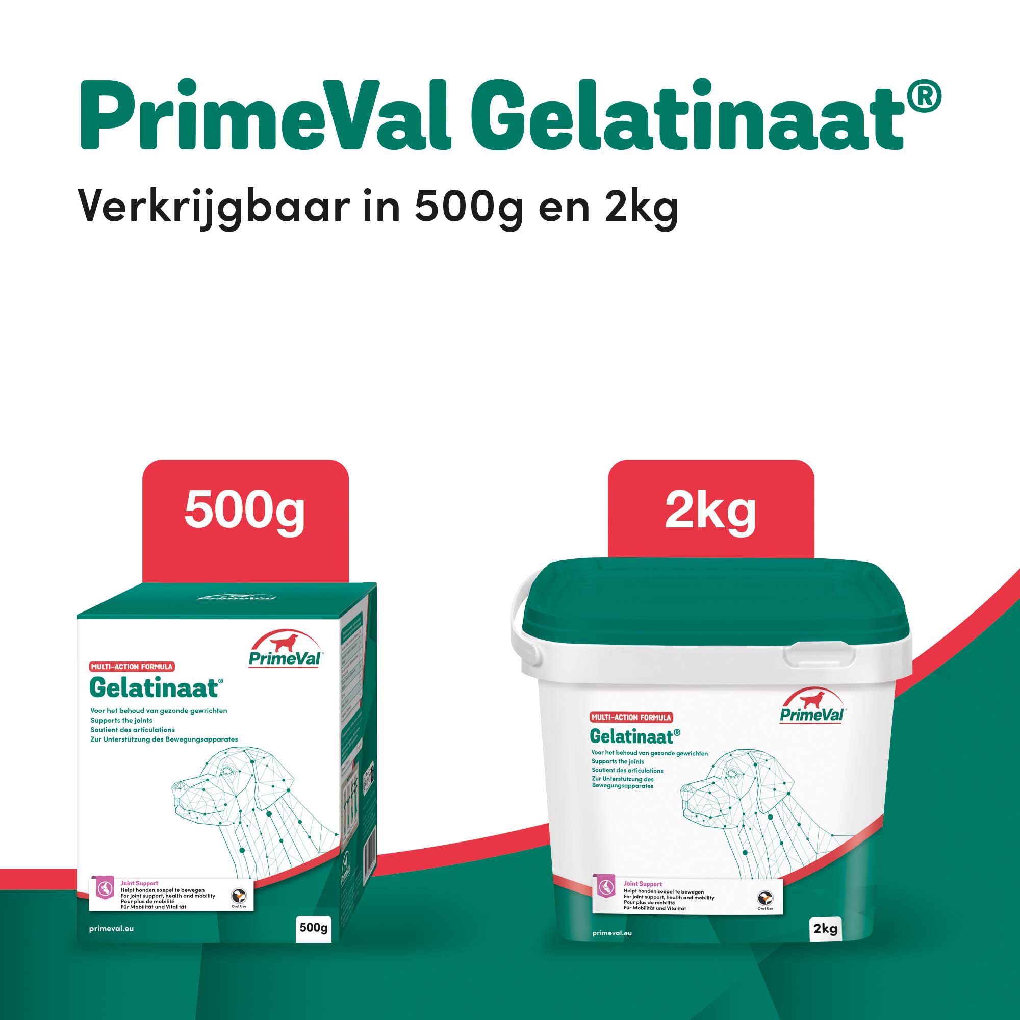 Primeval Gelatinaat Hond - Voedingssupplement - 2 Kilogram