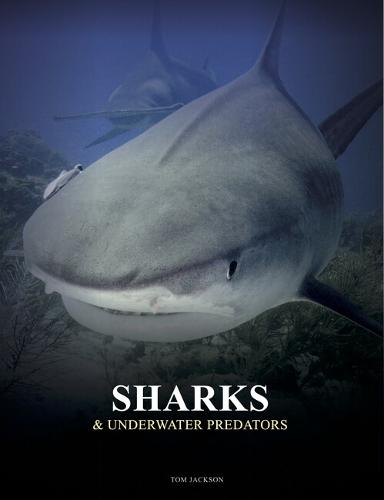 Sharks and Underwater Predators - Animals (Hardback)