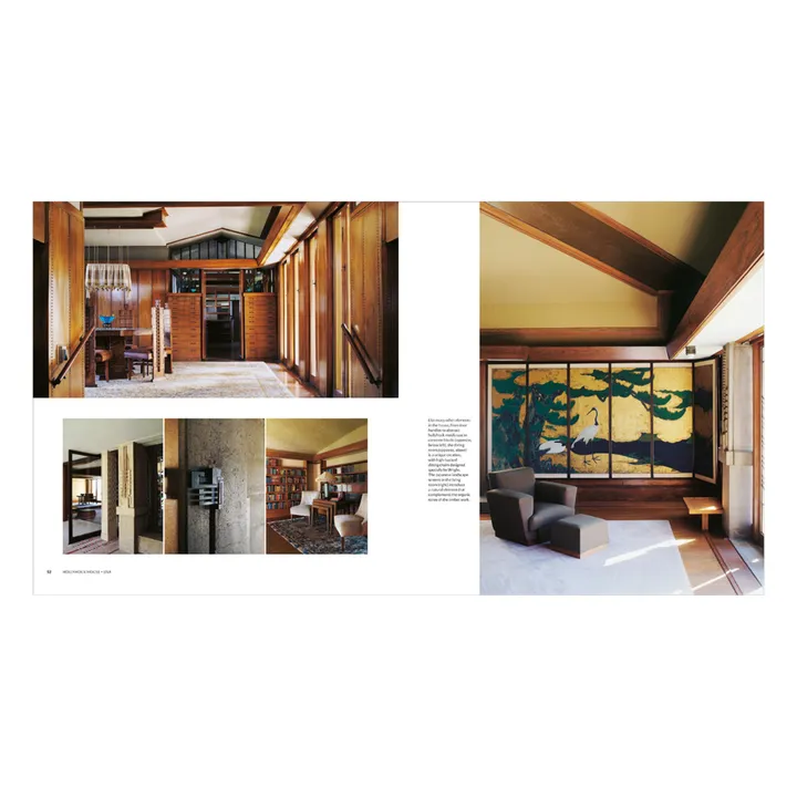 Thames & Hudson The iconic interior - EN