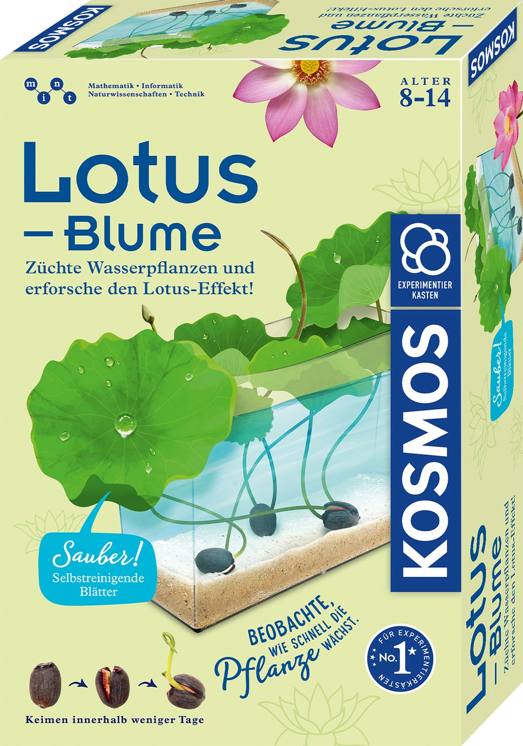 Experimentier-Set LOTUSBLUME