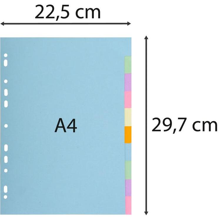 Intercalaires carte pastel 170 g Forever® 10 positions - A4