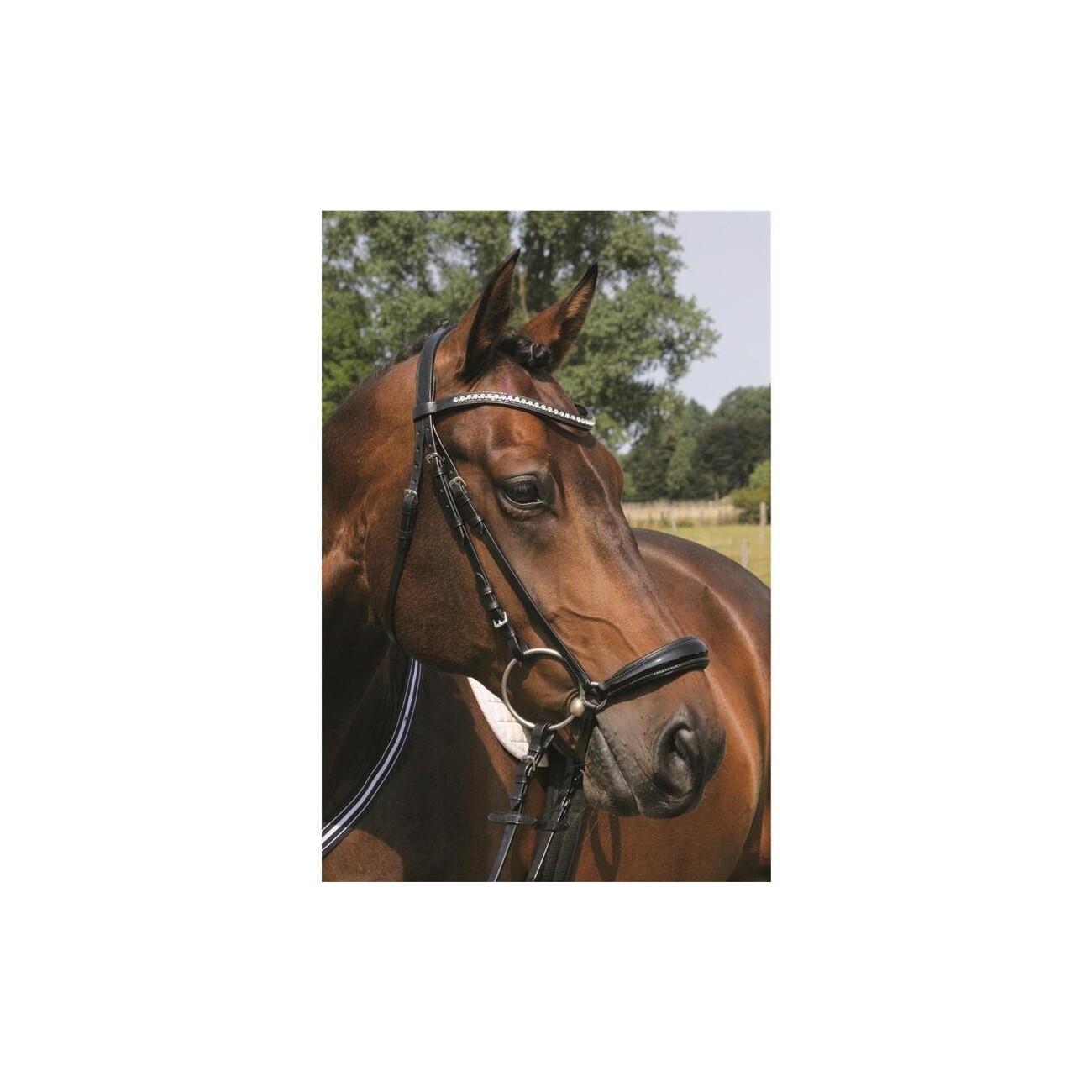 Hans Melzer Horse Equipment Hans Melzer Trense Valluhn schwarz/silber hannoversches Reithalfter schwarz unterlegt LACK VB/ COB (Vollblut)