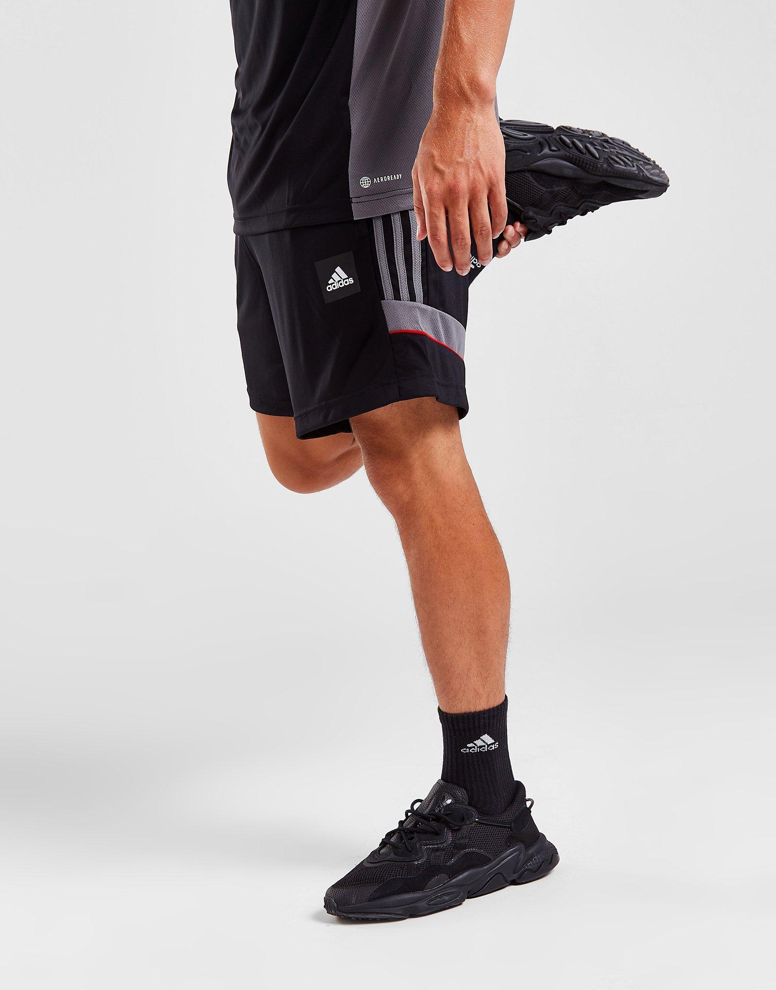 adidas Short de Match Homme