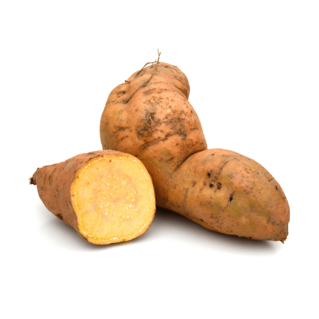 Dag Vers Yacon per kilo