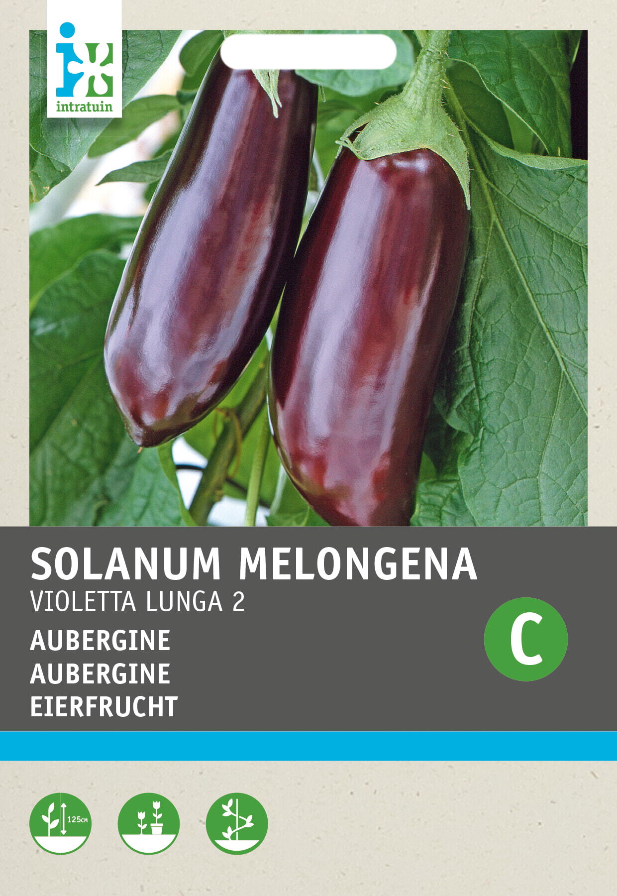 Intratuin groentezaad Aubergine (Solanum melongena 'Violetta Lunga 2')
