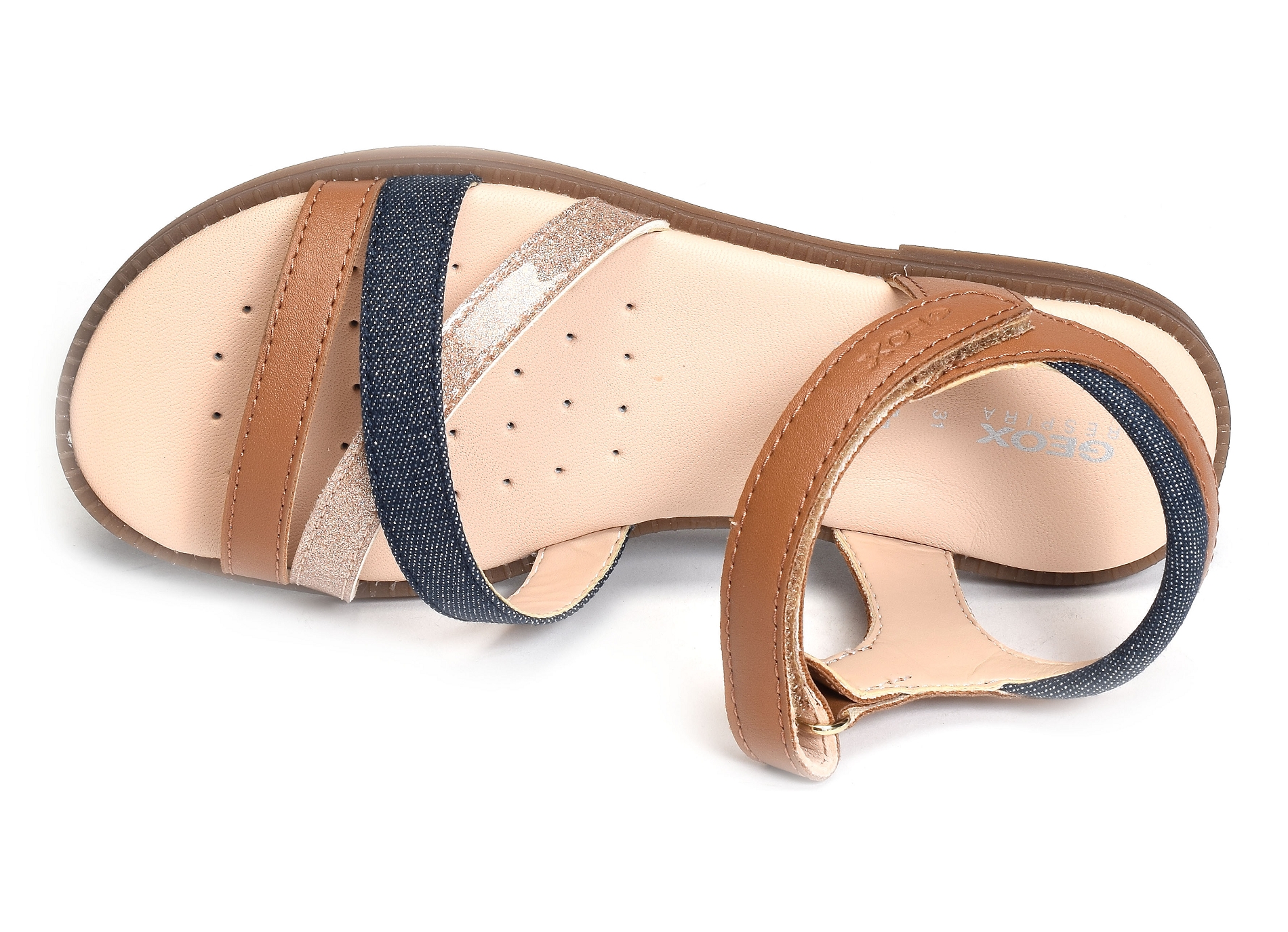 J s karly gd camel