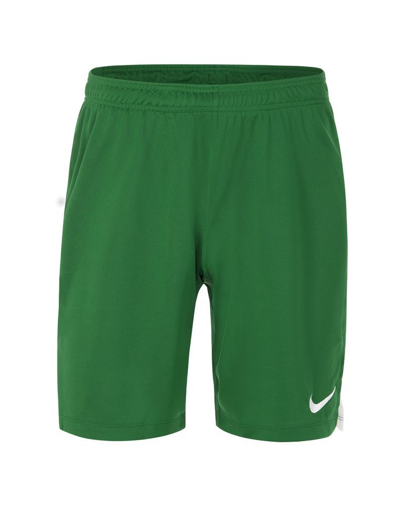 Short de volley Nike Team Spike Vert pour homme