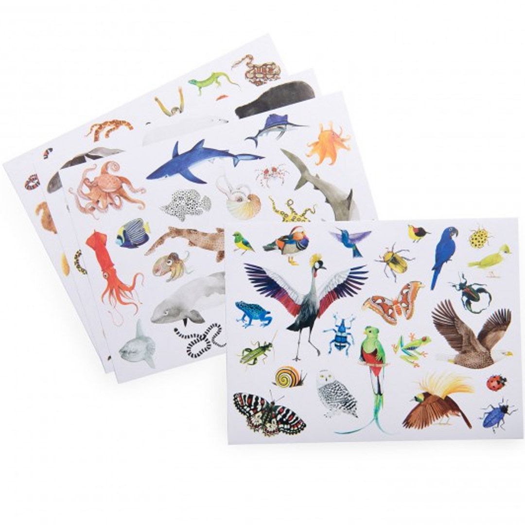 Moulin roty herbruikbare stickerset - 78st