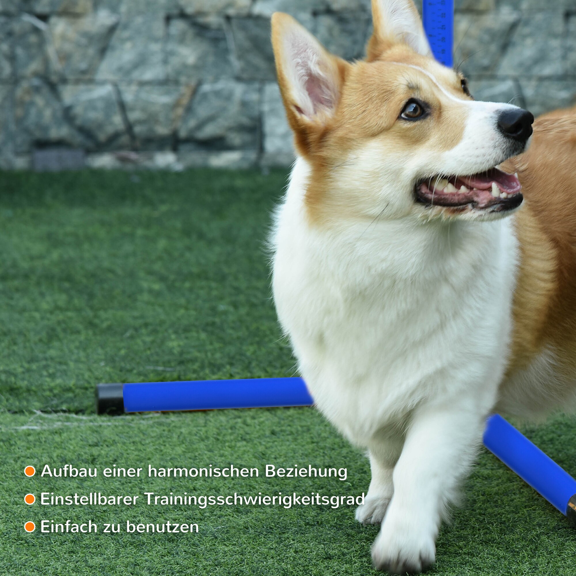 PawHut Agility Hürdenset als 4er Set blau 95 x 65 x 95 cm (LxBxH)