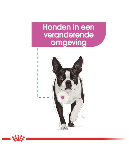 Royal Canin Relax Care Mini - Hondenvoer