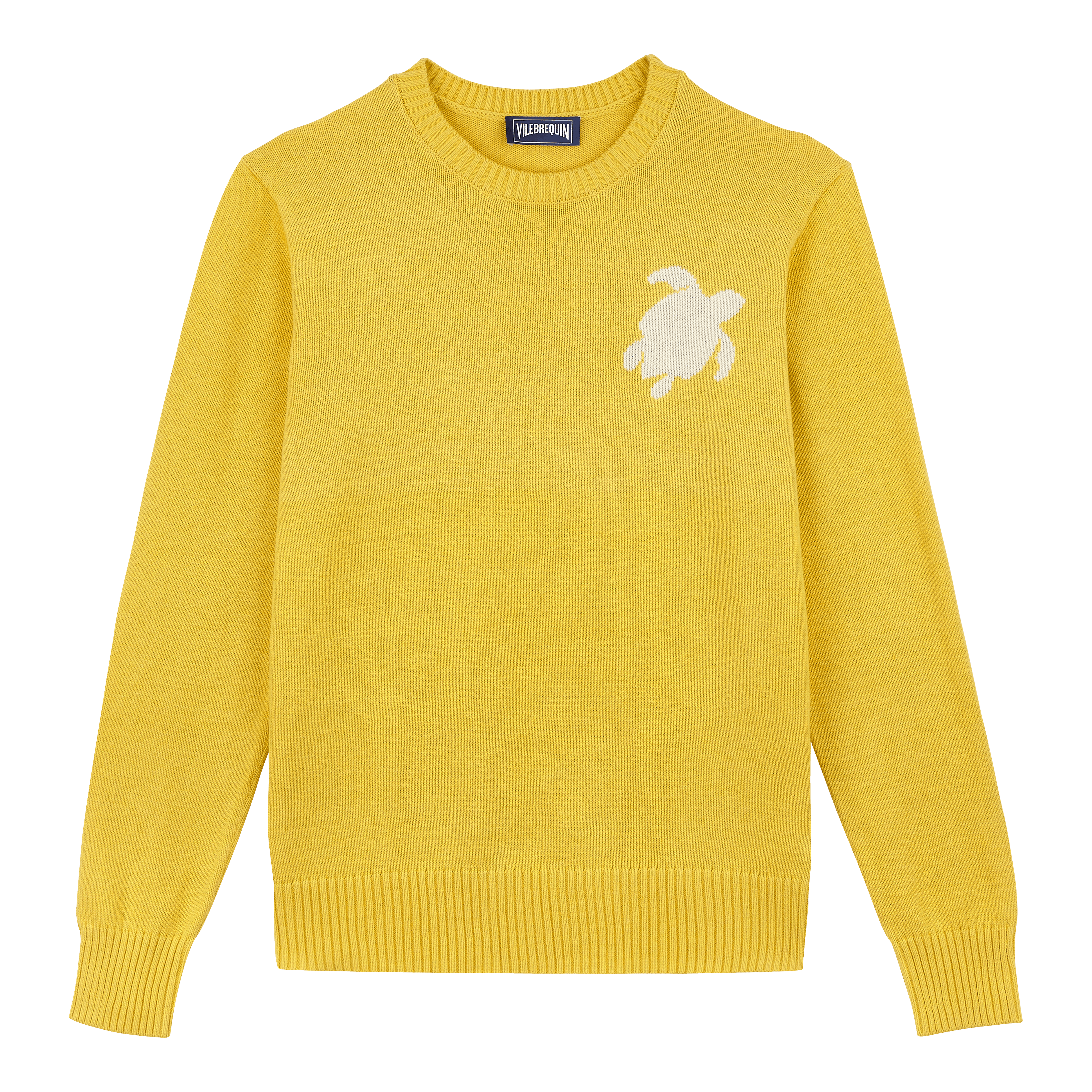 Pullover en Coton et Cachemire Ras-du-cou Homme Tortue