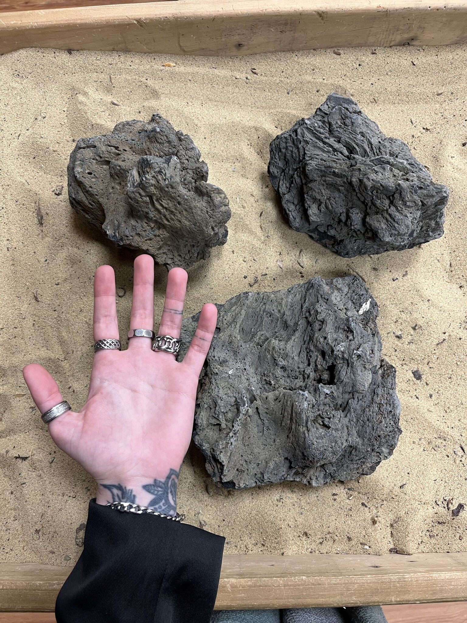 A Steenbundel Kuroi Dark Rock M | Hardscaping