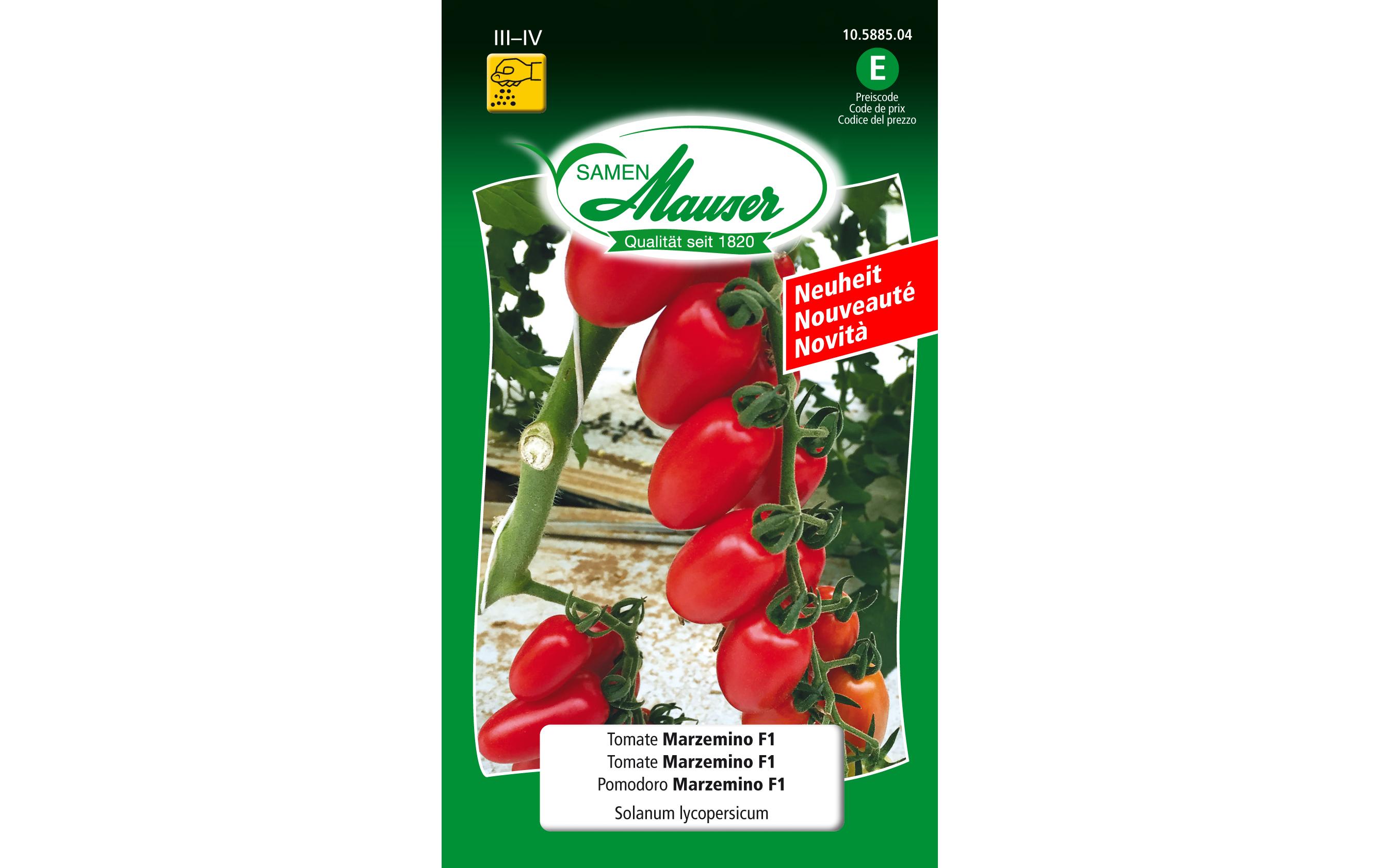 Samen Tomate Marzemino F1Gemüsesamen