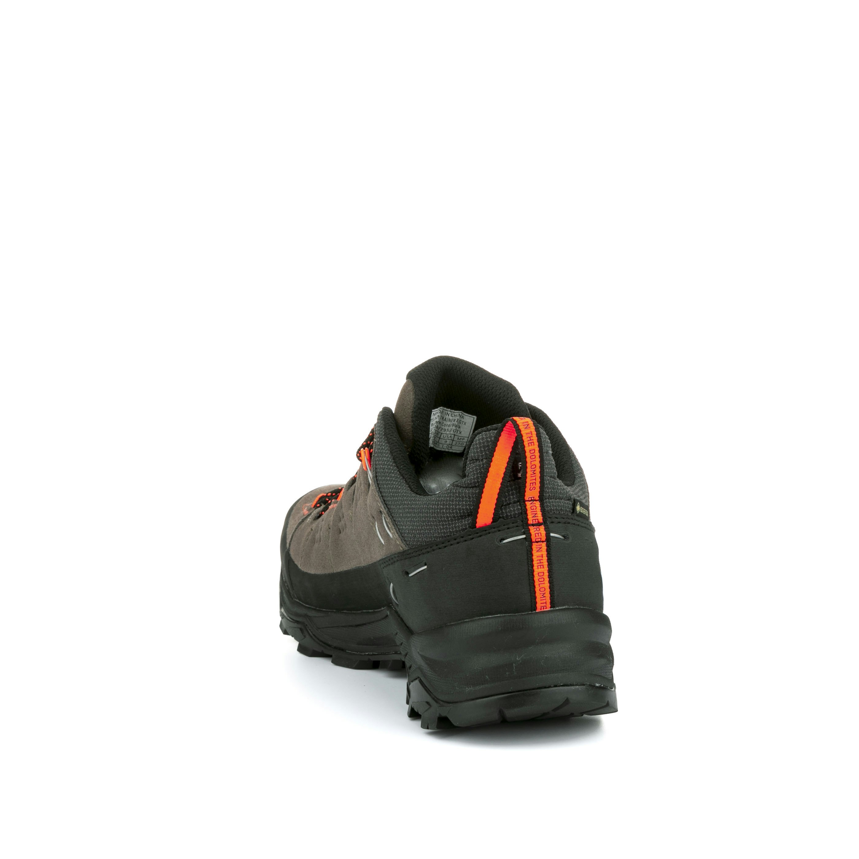 Alp Trainer 2 Gore-Tex® Schuh Herren
