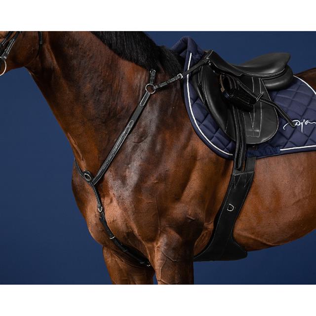 Borsttuig Dy'on Bridge Us Hunter Collectie Zwart