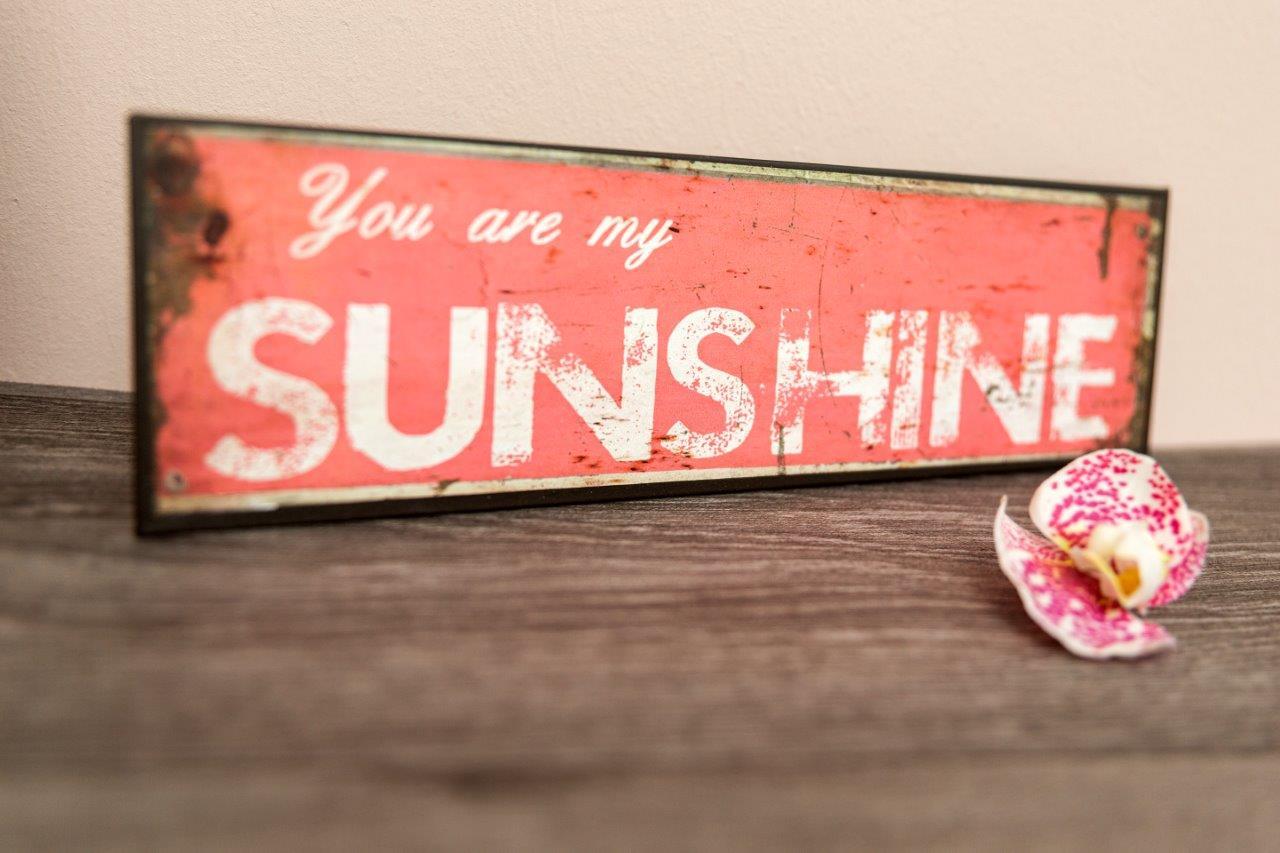 MetallschildYou are my sunshine - rot-weiß - 30 cm breit