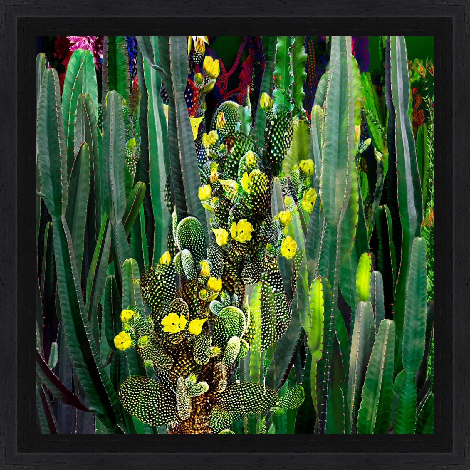 Cactus Blossoms VIII by Juan Fortes - Limited Edition. Edition of: 150. Signed.
