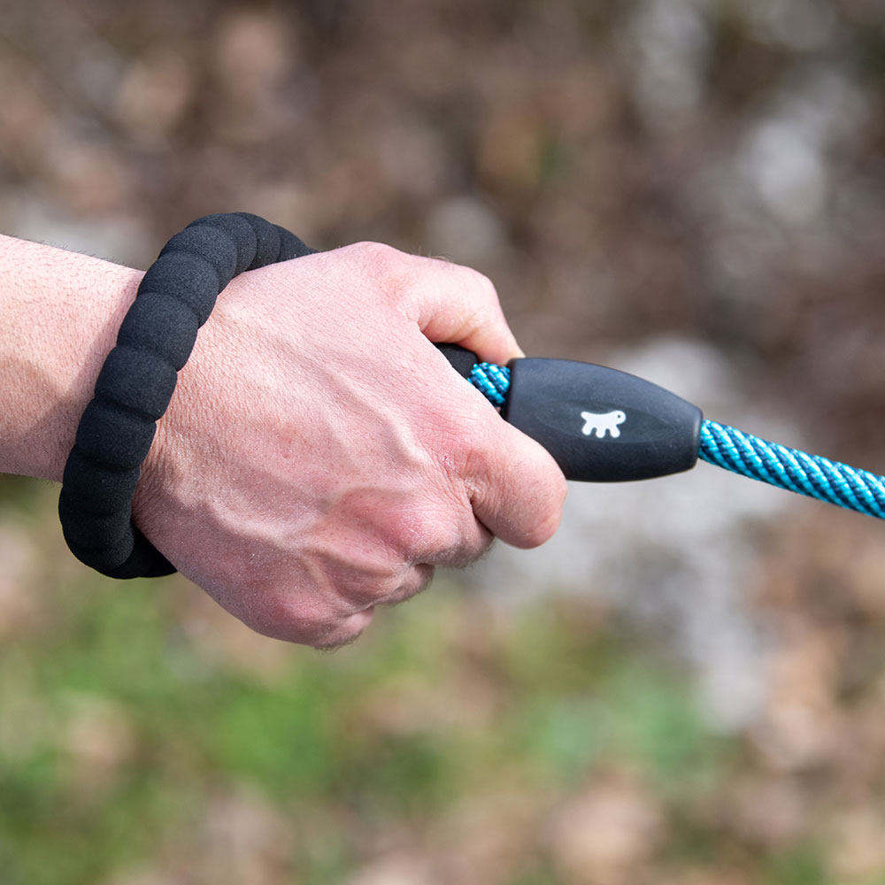 Laisse pour chiens sport extreme g8/120, longe en nylon robuste, poignée rembourrée confortable, azur-bleu