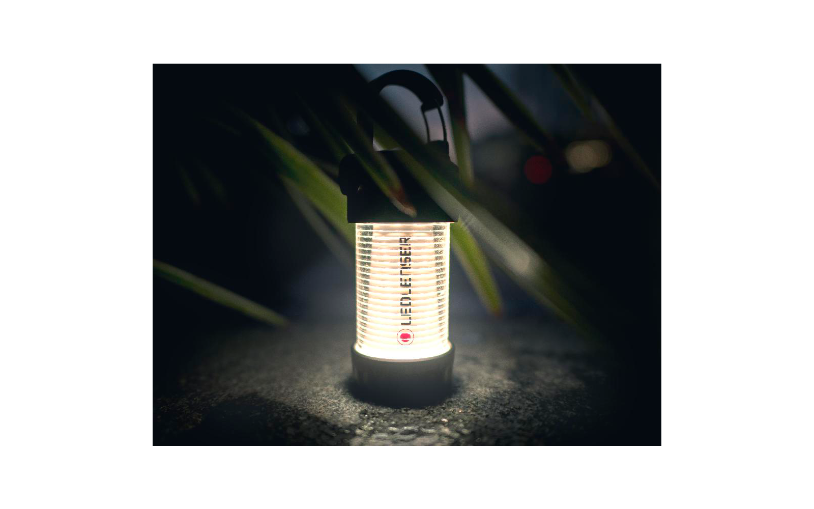 Ledlenser ML4 Laterne warm light schwarz