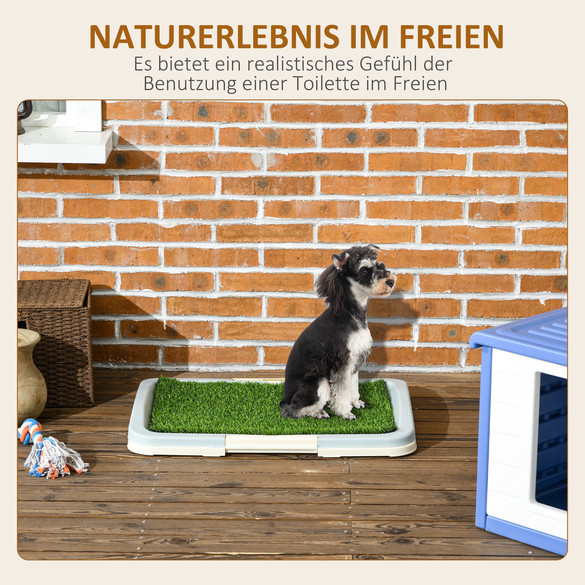 PawHut Welpentoilette mit Anti-Rutsch-Fußmatten grün 63L x 48,5B x 6H cm