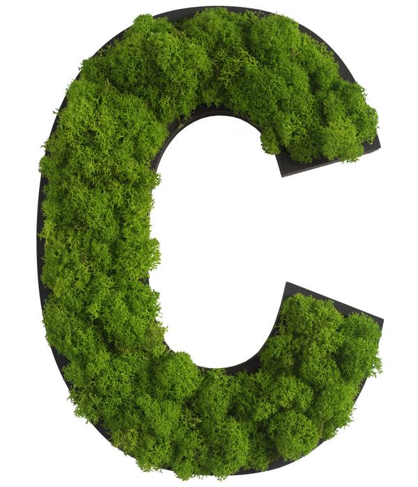 styleGREEN Buchstaben aus Islandmoos, ca. H25