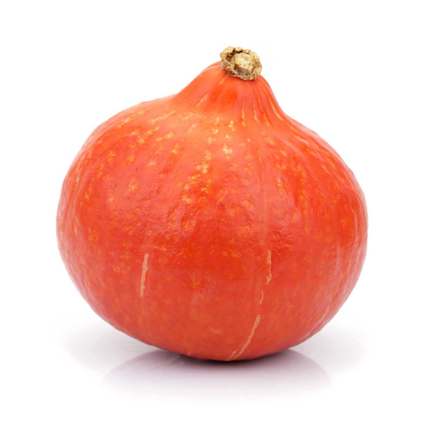 Mini potimarron bio