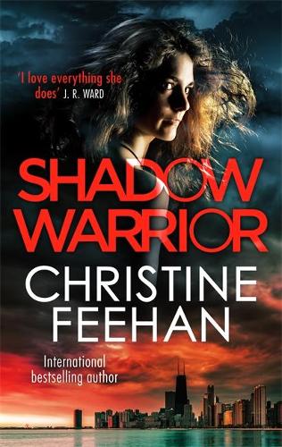 Shadow Warrior - The Shadow Series (Paperback)