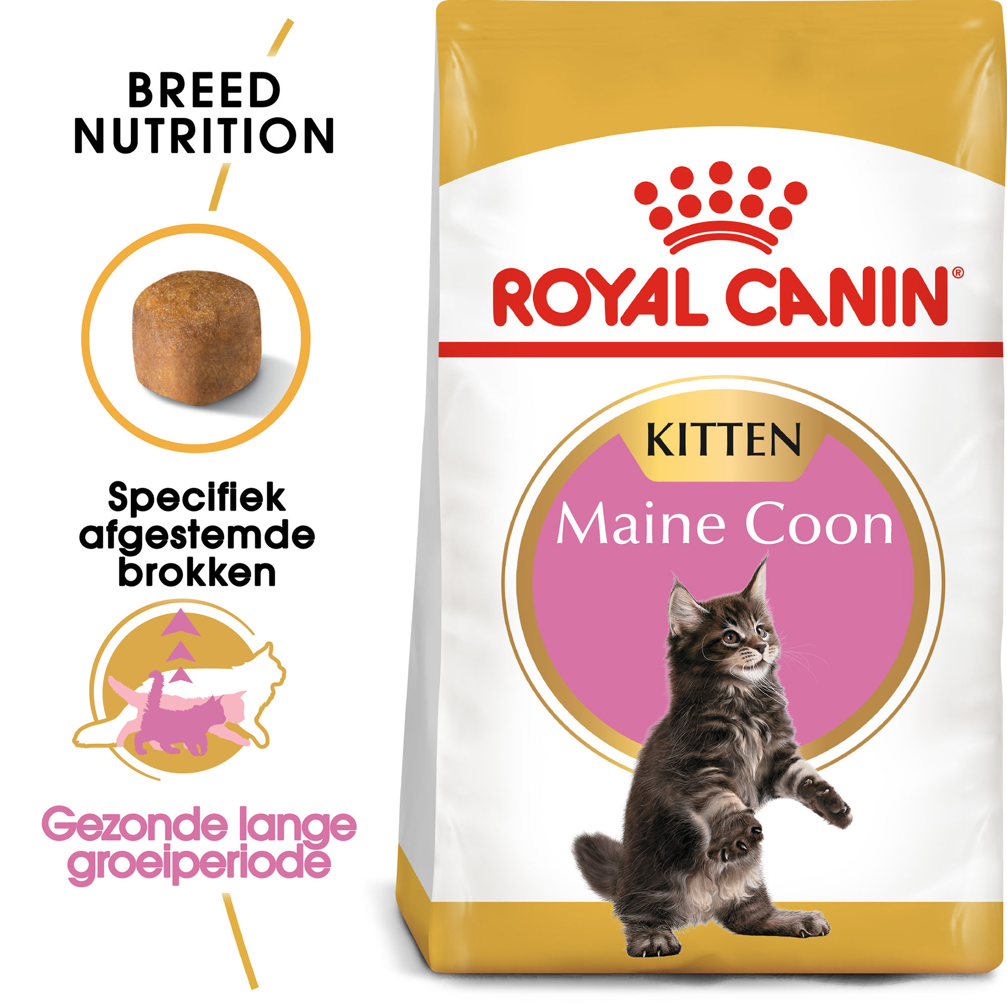 Royal Canin Maine Coon Kitten - Kattenvoer