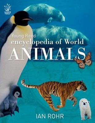 Young Reed: Encyclopedia of World Animals (Paperback)