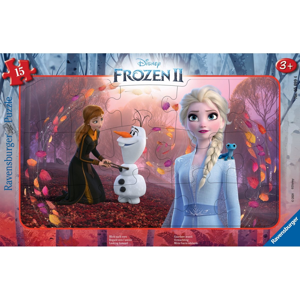 Puzzle Cadre 15 Pièces Nathan - Regard vers l'avenir - La Reine des Neiges 2